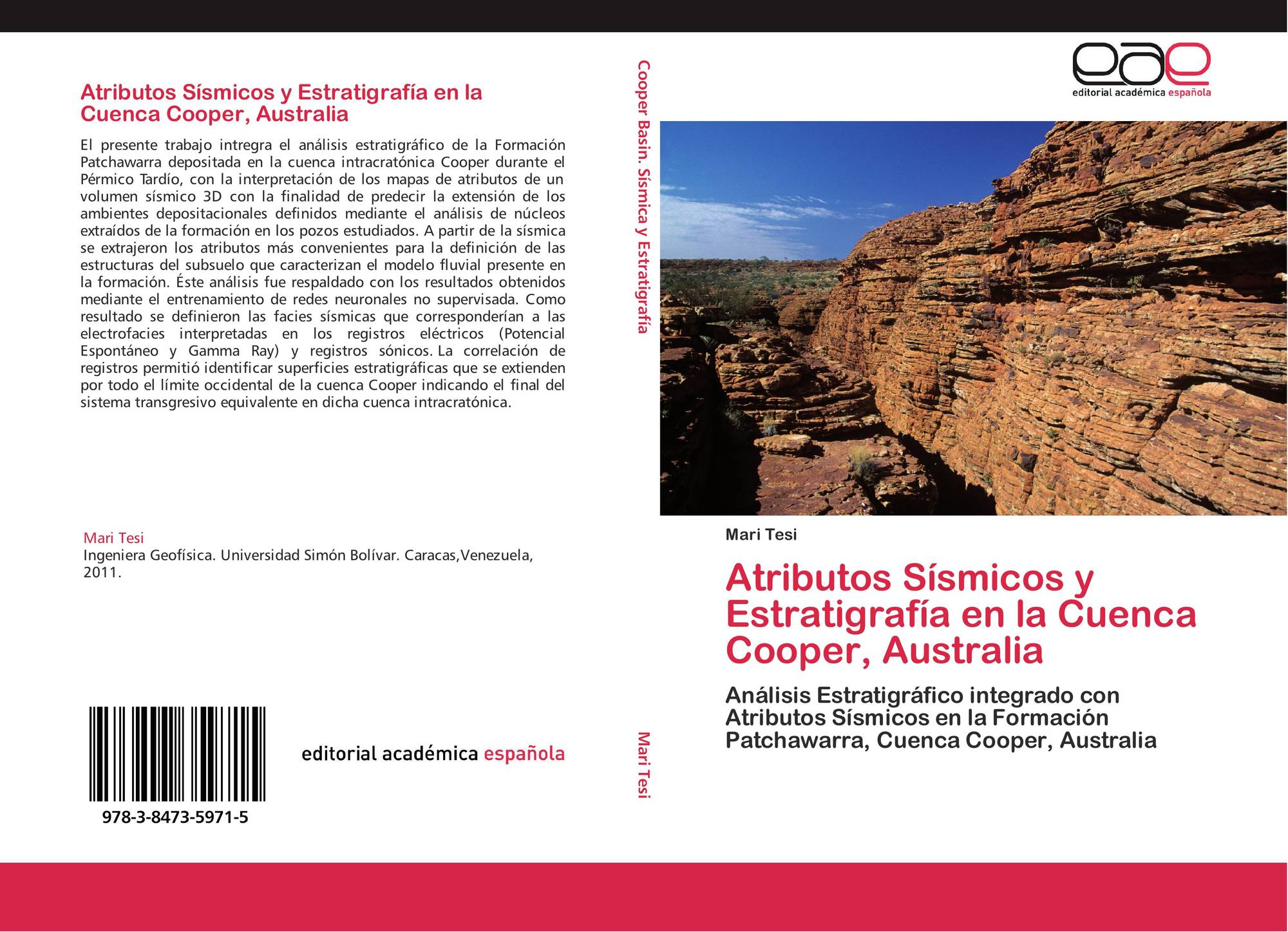 analisis de atributos sísmicos pdf