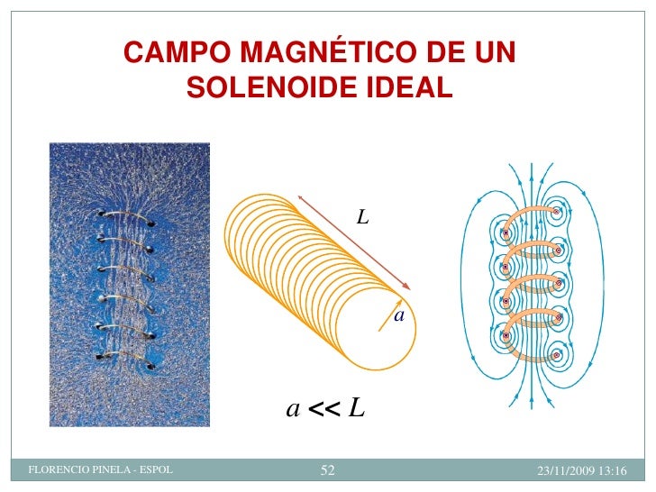 campo magnetico en alimentos pdf